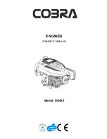 Предварительный просмотр 1 страницы Cobra DG450 Owner'S Manual