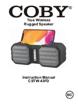 Coby CSTW-43FD Instruction Manual предпросмотр