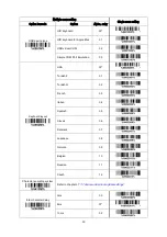 Preview for 26 page of Codesoft Image Platform CS80 Series User Manual