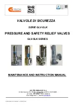 Coitech GLV Series Maintenance And Instruction Manual предпросмотр