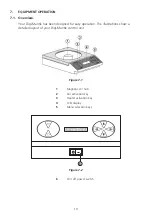 Предварительный просмотр 10 страницы Cole Parmer SHM-250 Series Instruction Manual