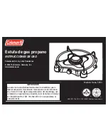 Предварительный просмотр 21 страницы Coleman 5453 Series Instructions For Use Manual