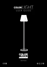 Color Block Colorlight CBLFOLDL User Manual preview