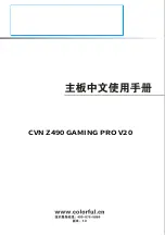 Colorful CVN Z490 GAMING PRO V20 Manual preview