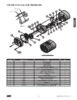 Preview for 15 page of Columbus McKinnon CM LODESTAR Operating, Maintenance & Parts Manual