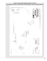 Preview for 24 page of Columbus McKinnon LODESTAR B Operating, Maintenance & Parts Manual