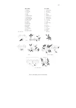 Preview for 27 page of Columbus McKinnon Yale HTG 1000 Translated Operating Instructions