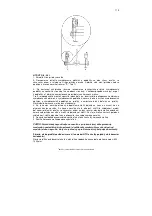 Preview for 119 page of Columbus McKinnon Yale HTG 1000 Translated Operating Instructions