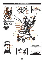 Предварительный просмотр 12 страницы Combi AuraStar Instruction Manual