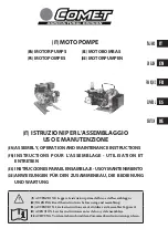 Comet MTP APS 31 Assembly, Operation And Maintenance Instructions предпросмотр