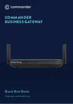 Commander BUSINESS GATEWAY Quick Start Manual preview