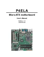 Commell P4ELA User Manual preview