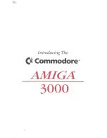 Предварительный просмотр 2 страницы Commodore Amiga 3000 Manual