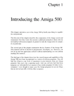 Preview for 13 page of Commodore Amiga 500 User Manual