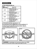 Preview for 39 page of COMPANION 172.21199 Operator'S Manual