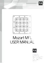 Company NA Mozart MFL User Manual preview