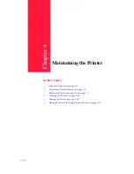 Предварительный просмотр 61 страницы Compuprint PageMaster 402N User Manual