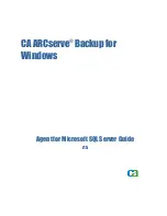 Computer Associates ARCserve Backup for Windows Manual preview