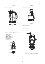 Предварительный просмотр 39 страницы Conel FLOW 12 Operating Instructions Manual