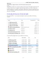 Предварительный просмотр 2 страницы Connect Systems CS800 Firmware Upgrade Manual