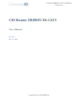 ConnectedIO ER2500T CAT1 Series User Manual preview