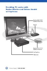 Preview for 6 page of Consolidated Ruckus 2111 Manual