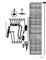 Предварительный просмотр 59 страницы Continental Fireplaces CB30-1 Installation And Operation Manual