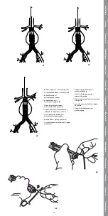 Предварительный просмотр 23 страницы COOK Medical Zenith Alpha Instructions For Use Manual