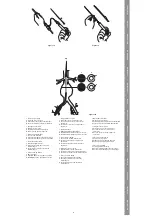 Предварительный просмотр 17 страницы COOK Medical Zenith Fenestrated AAA Instructions For Use Manual