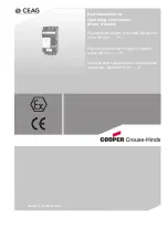 Cooper Crouse-Hinds CEAG GHG 61 R Series Operating Instructions Manual предпросмотр