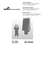 Cooper Crouse-Hinds D22 519 Operating Instructions Manual preview