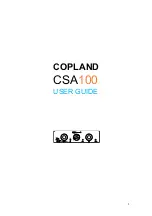 Copland CSA100 User Manual preview