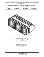 Предварительный просмотр 1 страницы CopperOptics Pairain PG-Plus PCS-719 Manual