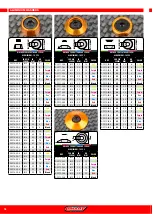 Preview for 16 page of Corally C-00250 Series Quick Start User Manual