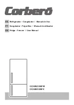 CORBERO CC200V22NFW User Manual preview