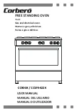 CORBERO CC900X User Manual предпросмотр