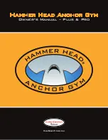 CORE ENERGY FITNESS Hammer Head Anchor Gym Owner'S Manual preview