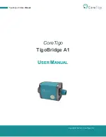 CoreTigo TigoBridge A1 User Manual preview