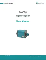 CoreTigo TigoBridge B1 User Manual предпросмотр