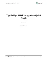 Preview for 1 page of CoreTigo TigoBridge SOM Quick Manual