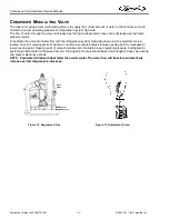 Preview for 17 page of Cornelius Quantum 1000 Service Manual