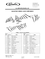 Preview for 10 page of Cornelius Quantum 45200001 Parts List