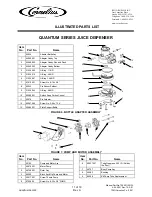 Preview for 11 page of Cornelius Quantum 45200001 Parts List