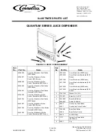 Preview for 13 page of Cornelius Quantum 45200001 Parts List