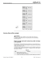 Preview for 30 page of Cornelius signature Service Manual