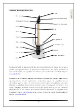 Preview for 19 page of Cort Action DLX Instruction Manual