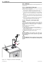 Предварительный просмотр 37 страницы COSMOGAS AGUAPLUS 100 Installation, Use And Maintenance Manual