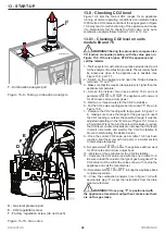 Предварительный просмотр 44 страницы COSMOGAS AGUAPLUS 100 Installation, Use And Maintenance Manual