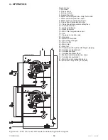 Предварительный просмотр 19 страницы COSMOGAS MYDENS 100T Installation, Use & Maintenance Manual