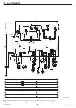 Preview for 81 page of COSMOGAS POOLDENS 100T Installation, Use And Maintenance Manual